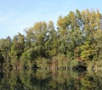 Rhone river
